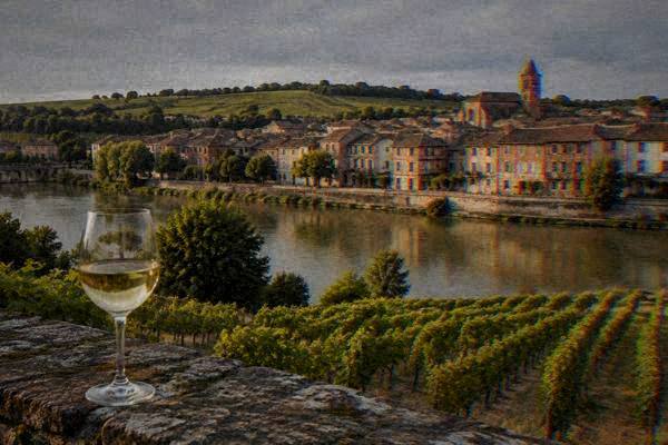 Gaillac Wine Region Day Tour, Toulouse