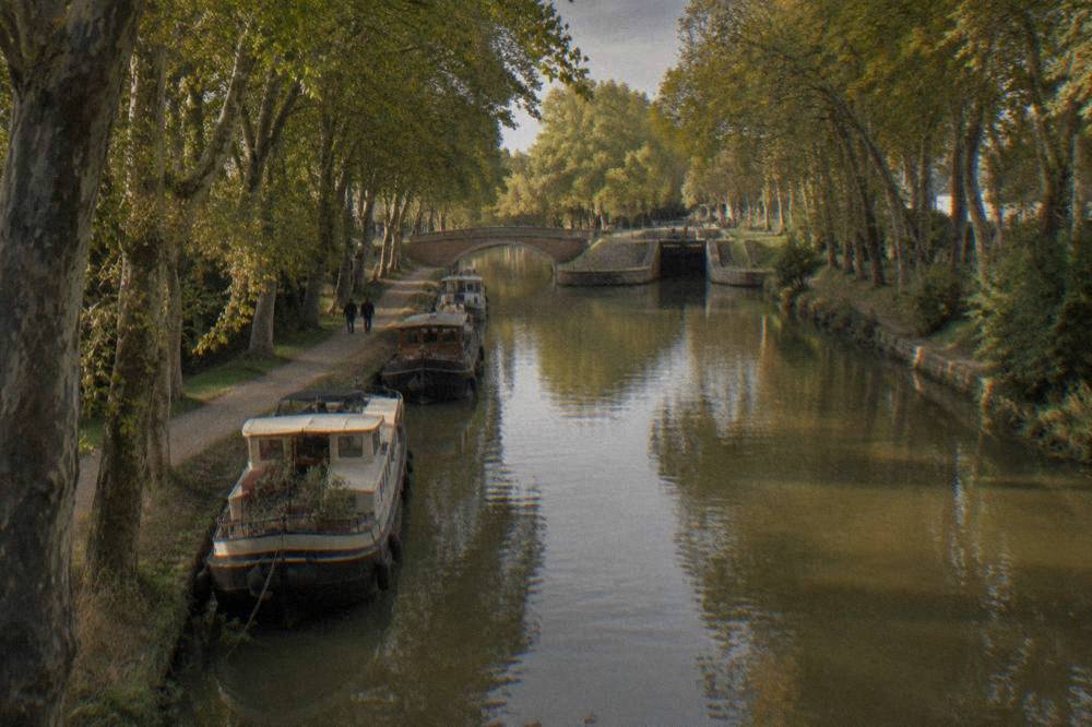 A tree-lined canal path of the Canal du Midi in Toulouse with boats moored along the bank
