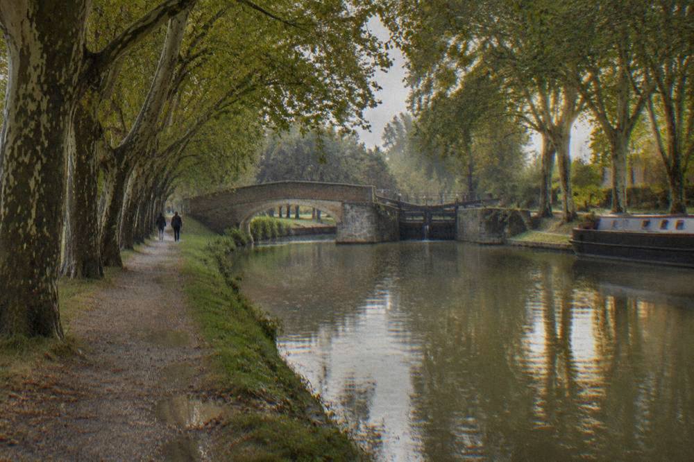 Plane trees shading the Canal du Midi towpath near Toulouse