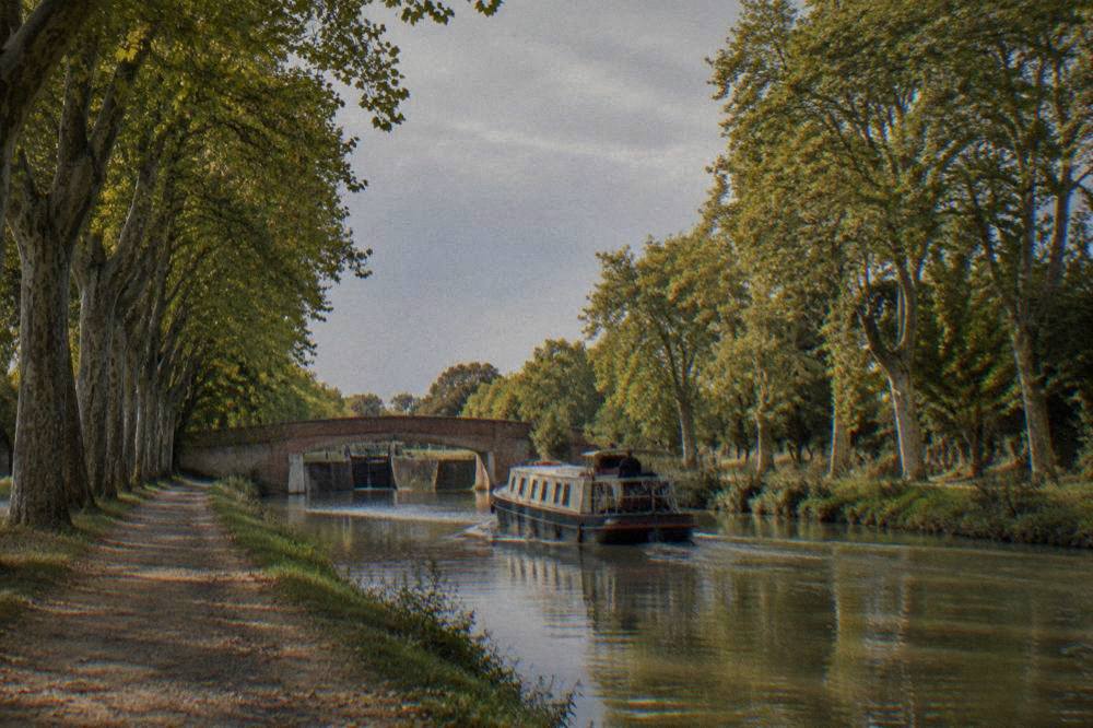 A canal boat passing under plane trees on the Canal du Midi in Toulouse