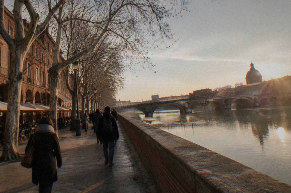 A quiet Toulouse street in winter with pink brick facades and bare plane trees along the sidewalk