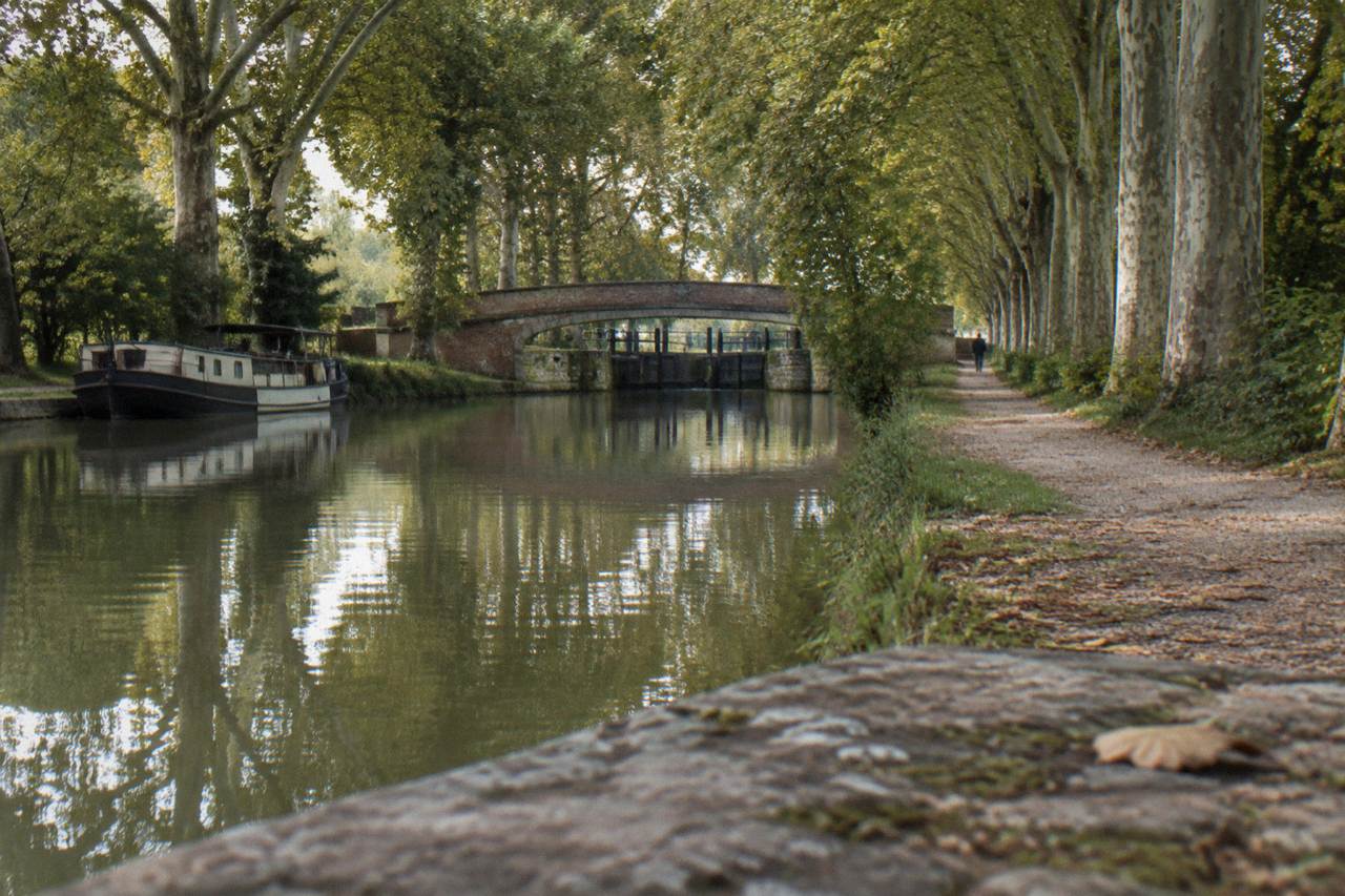 A tree-lined stretch of the Canal du Midi with still water reflecting plane trees along the towpath