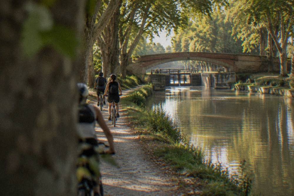 Cyclists riding the towpath beside the Canal du Midi under plane trees