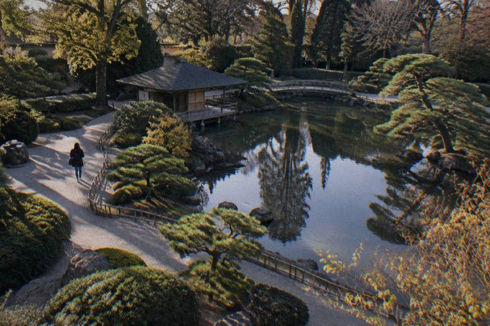 Formal garden with clipped hedges, gravel paths and a pond