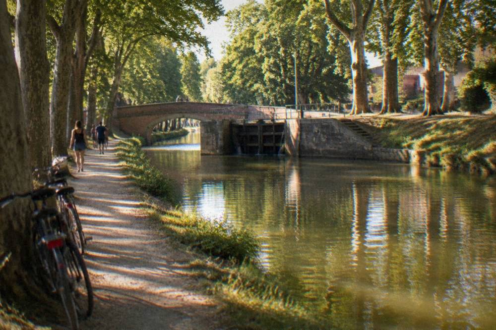 A tree-lined canal towpath with parked bicycles and walkers on a warm afternoon near Toulouse