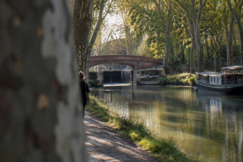 Plane trees and a canal towpath in warm evening light on the edge of Toulouse