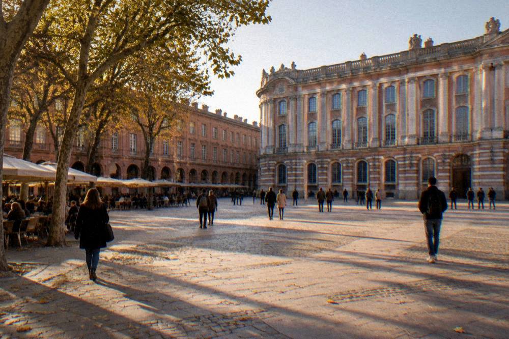 An autumn street in Toulouse with plane trees and pink brick walls in warm light