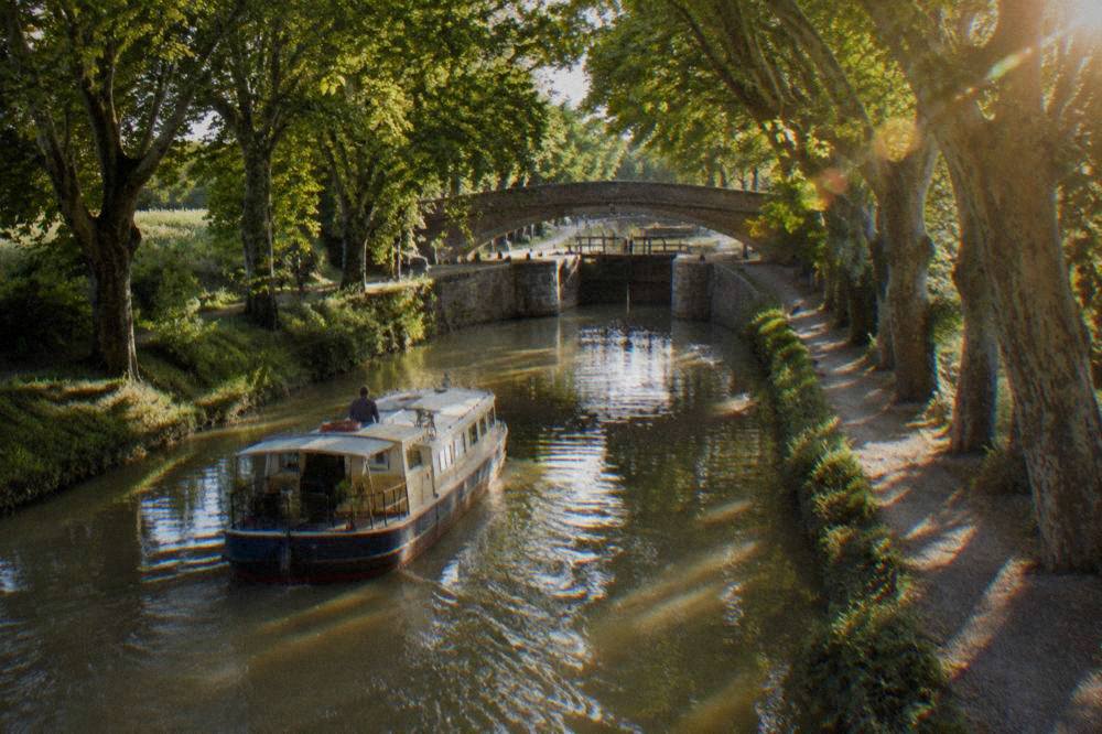 A canal boat gliding under plane trees on the Canal du Midi near Toulouse