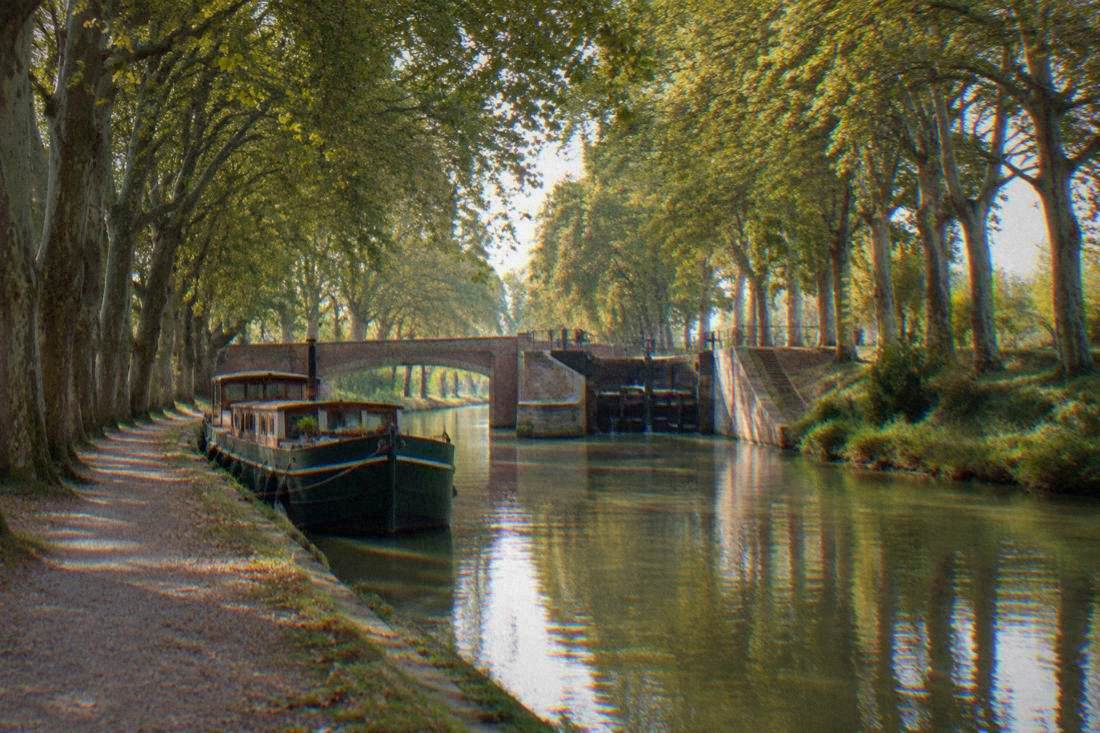 Canal du Midi lined with plane trees