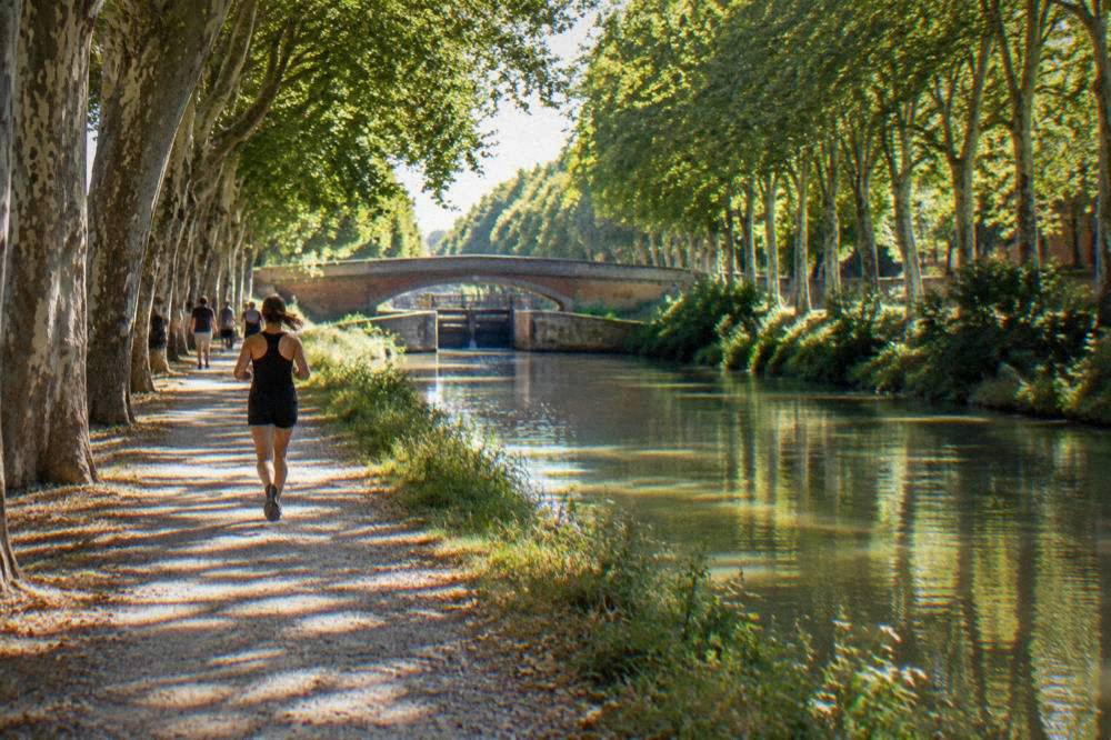 Walkers on a canal towpath shaded by plane trees near central Toulouse
