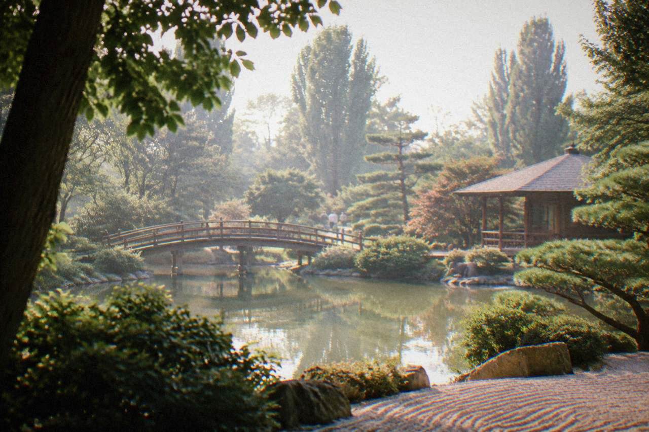 A peaceful Japanese style garden with a small wooden bridge over a pond and clipped green shrubs