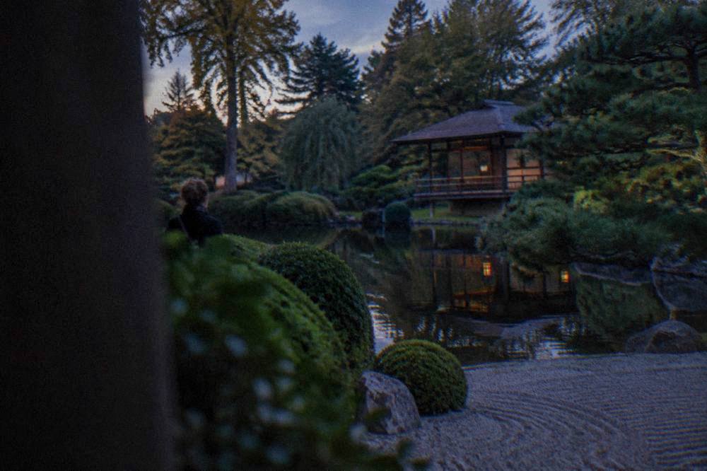 Clipped green shrubs and raked gravel beside still water in a Japanese style garden