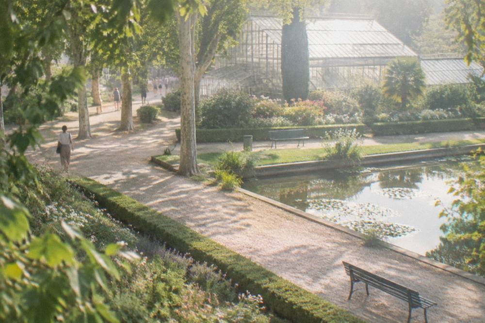 Greenhouse glass panes catching sunlight behind a bed of low flowering plants