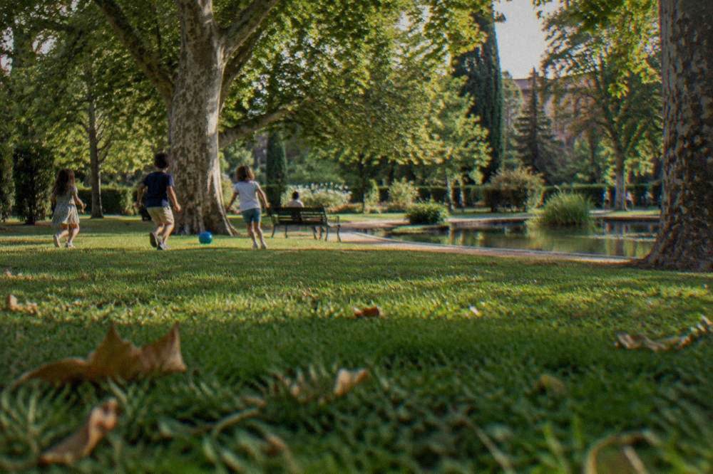 Children playing on a lawn under large shade trees in a city park
