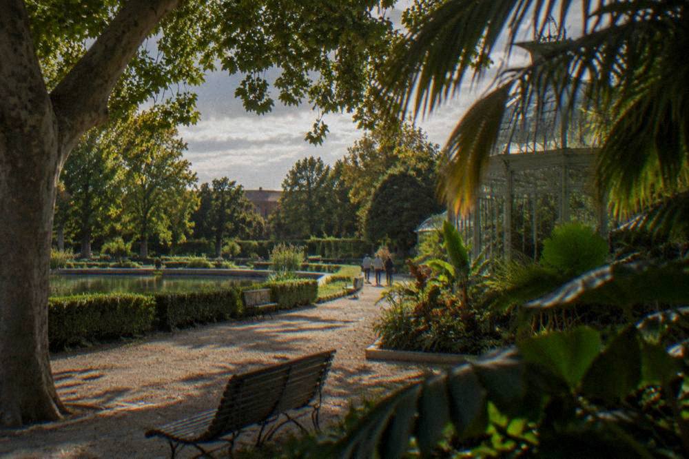 Palm fronds and tropical leaves in front of a glass garden house