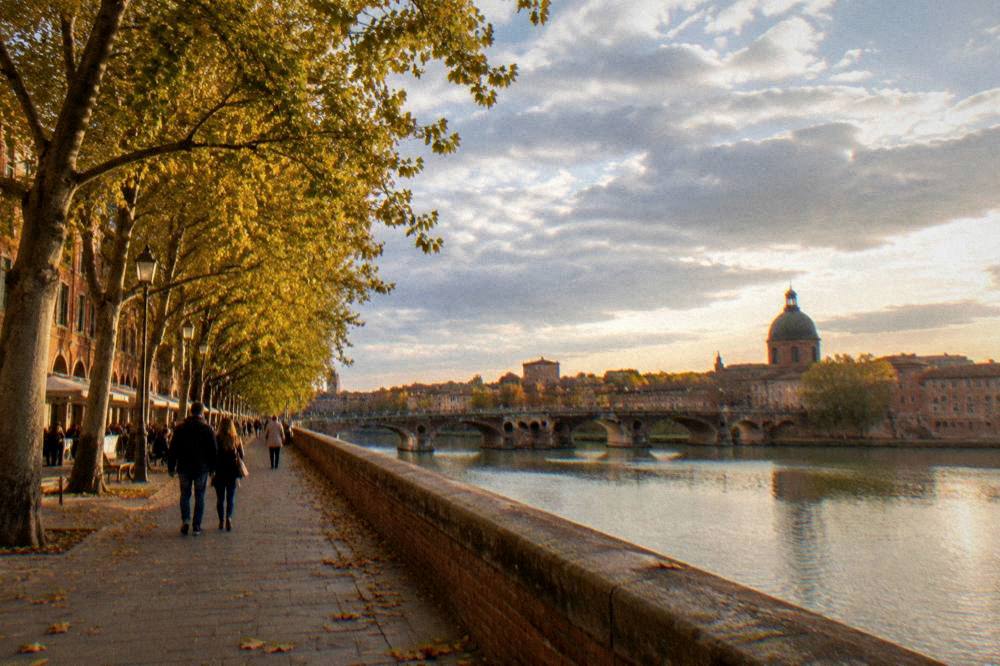 A tree-lined street in Toulouse with pink brick buildings in autumn light