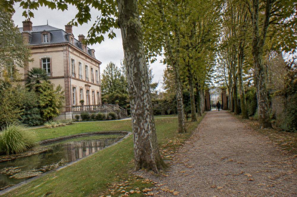 A tree-lined path leading to a garden gate in a French city