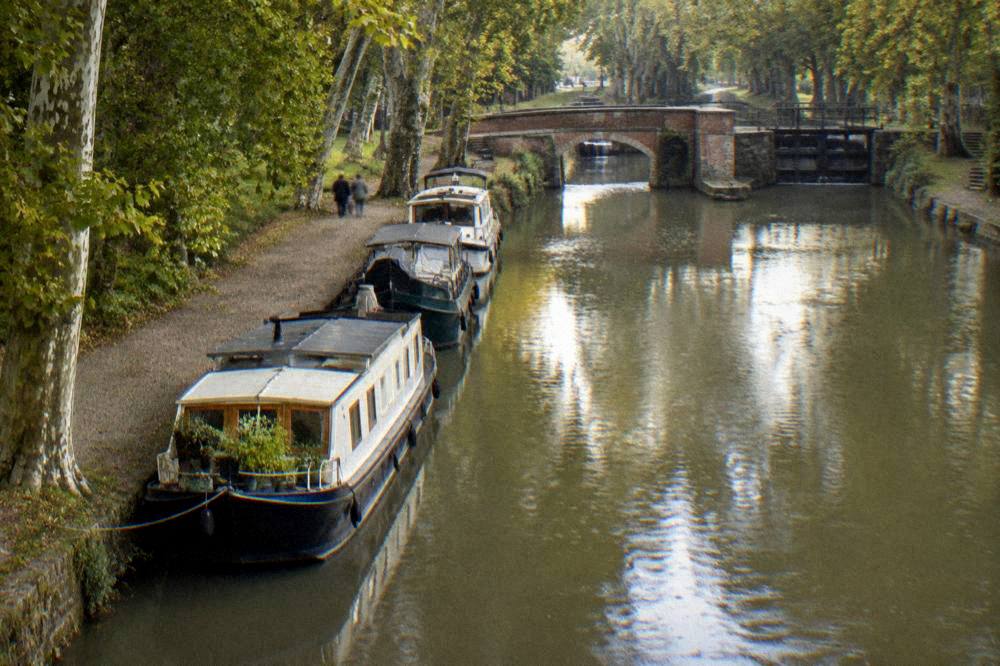 A plane tree lined canal path with moored boats along the Canal du Midi