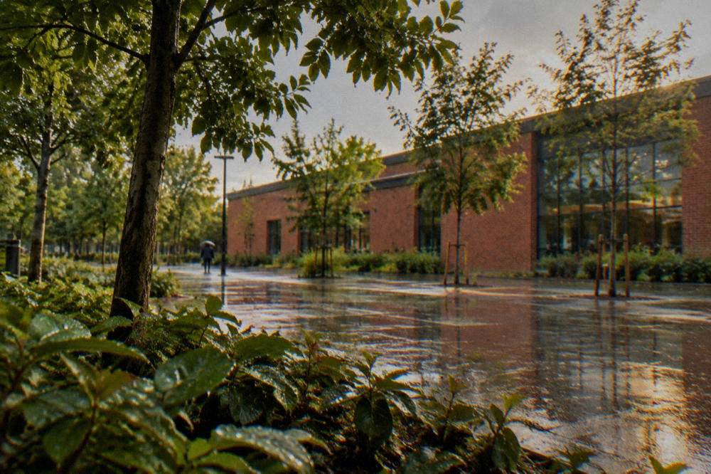 Rain falling on the trees of a city garden outside a brick museum building
