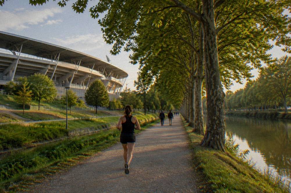 A wide tree-lined canal path with plane trees and people walking beside still water