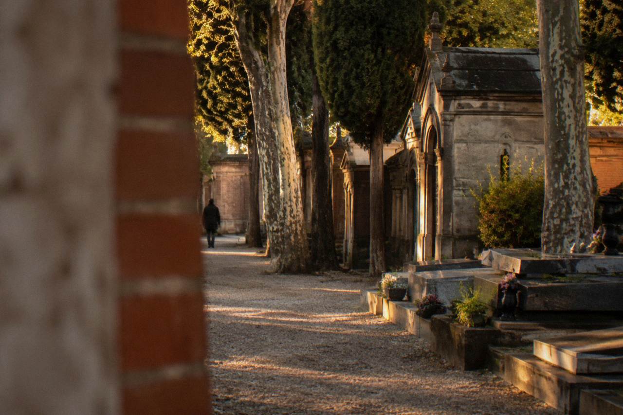 Tree-lined avenue inside a historic cemetery with rows of stone tombs and pink brick walls