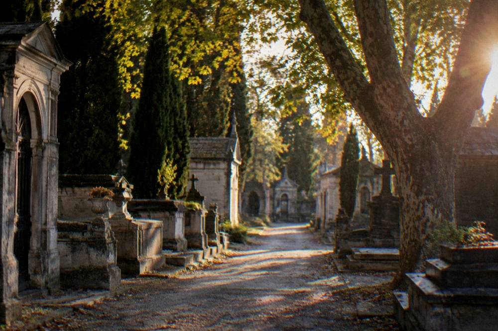 Quiet gravel path between old tombs with a plane tree overhead