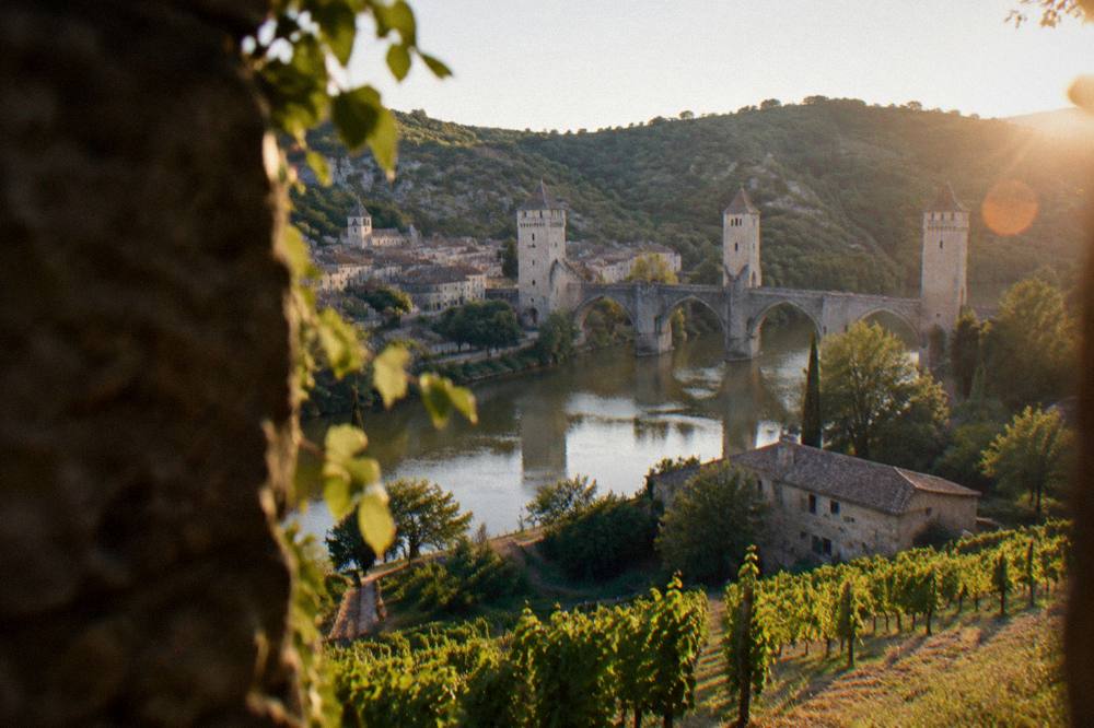 Rows of grapevines on a sunny hillside above a river valley with a stone farmhouse