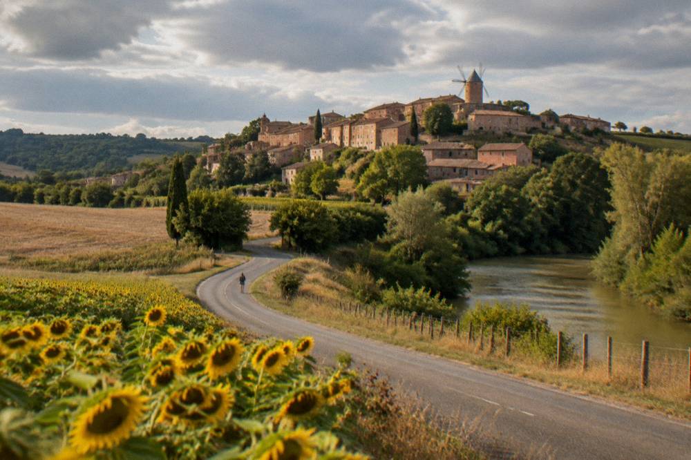 A country road winding through fields and sunflowers in the Tarn region of France