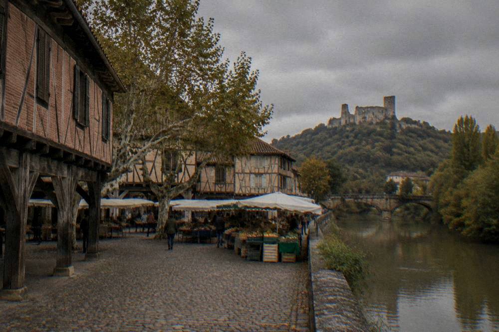 A ruined stone castle on a forested ridge above a river valley in southern France