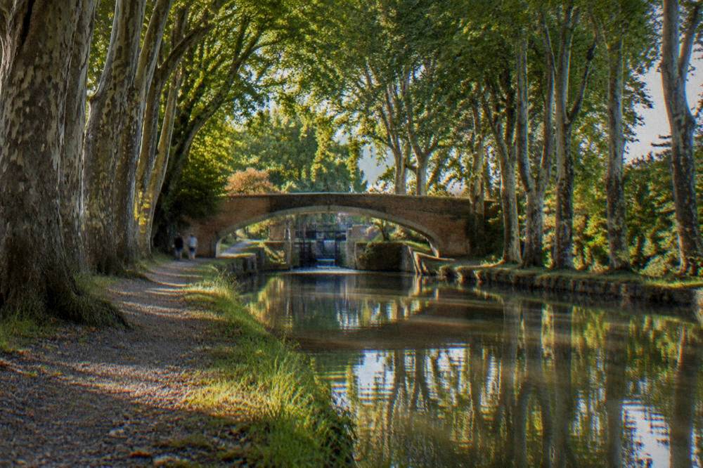 A tree-lined canal towpath near Moissac with still water reflecting plane trees