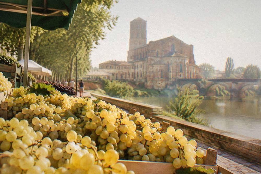 Bunches of golden Chasselas table grapes on sale at a market stall in Moissac