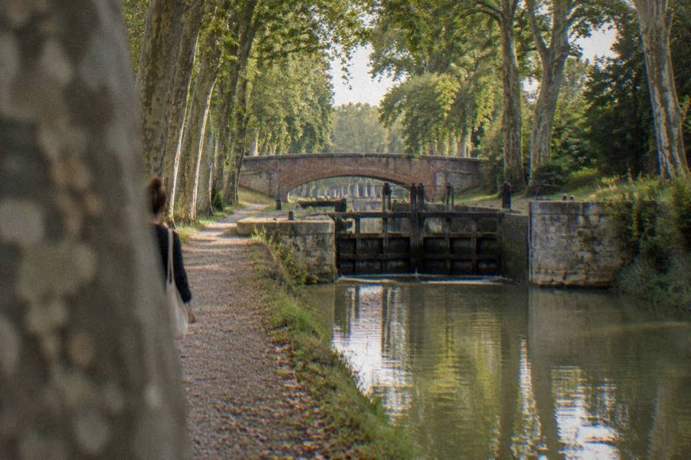 A canal lock gate holding back a small height of green water