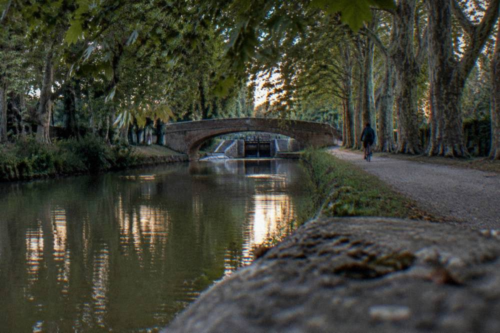A cyclist passing under low plane-tree branches along a straight canal with dappled light on the path
