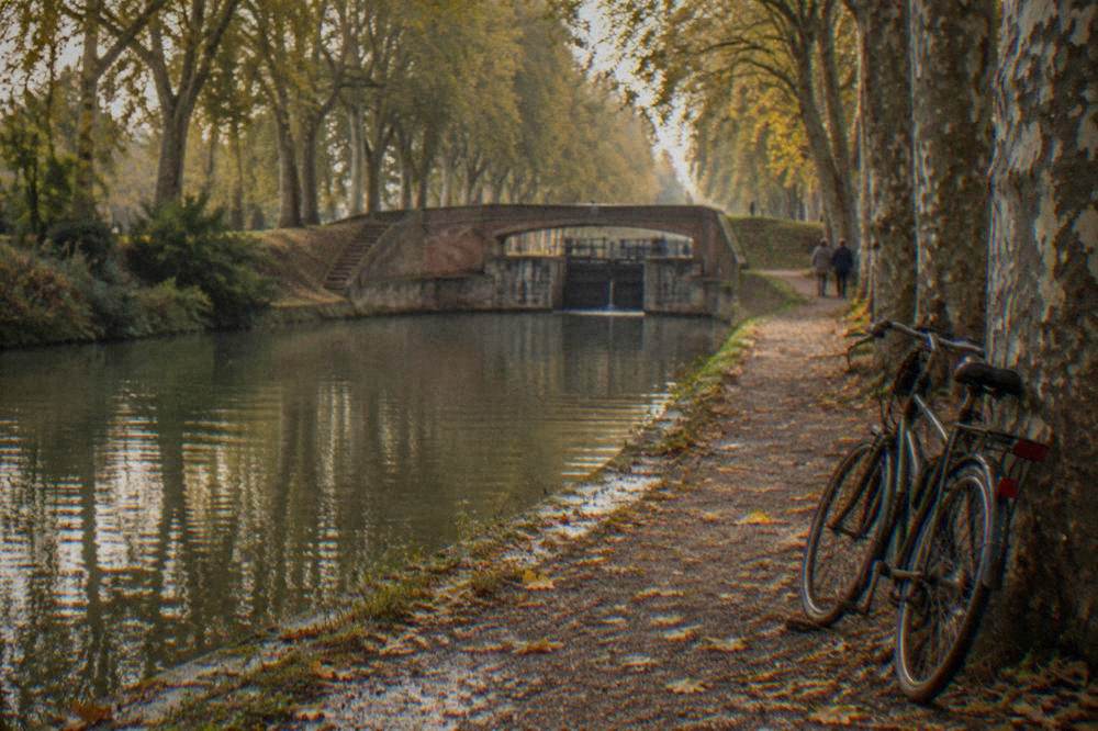 A canal-side view in autumn with golden leaves on the bank and a bicycle leaning against a plane tree