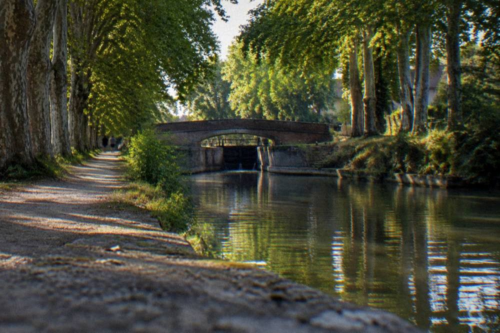 Tree-lined canal side path in Toulouse along the Canal du Midi on a sunny day