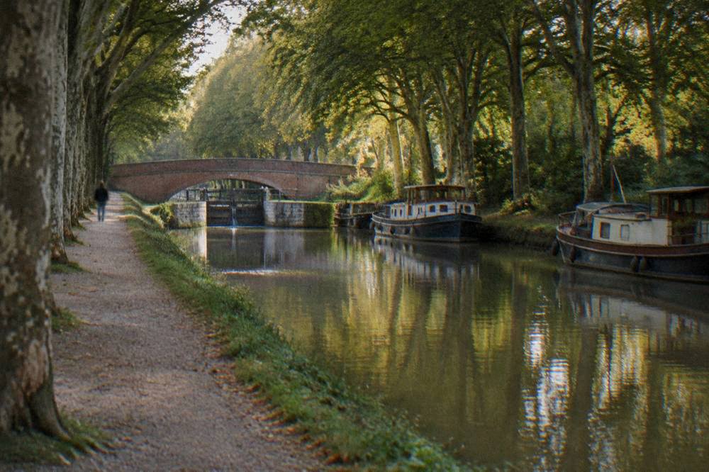 Canal boats moored beside a tree-lined stretch of the Canal du Midi near Toulouse