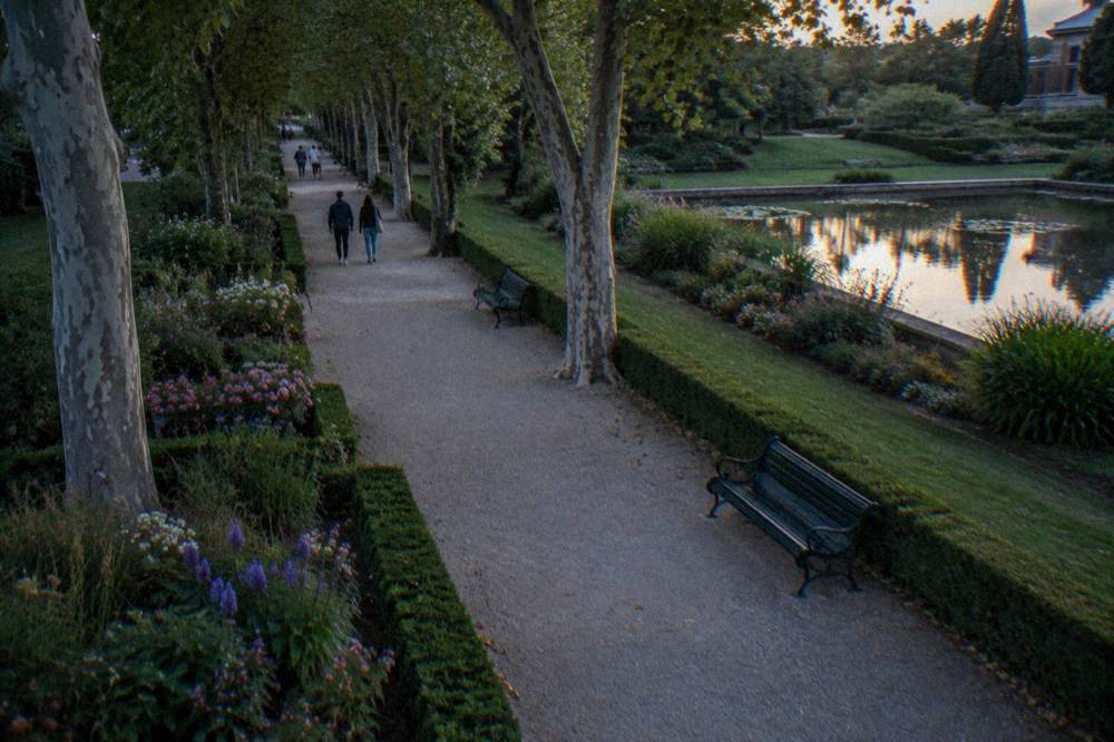 Flower beds and mature plane trees along a gravel path in the Jardin des Plantes