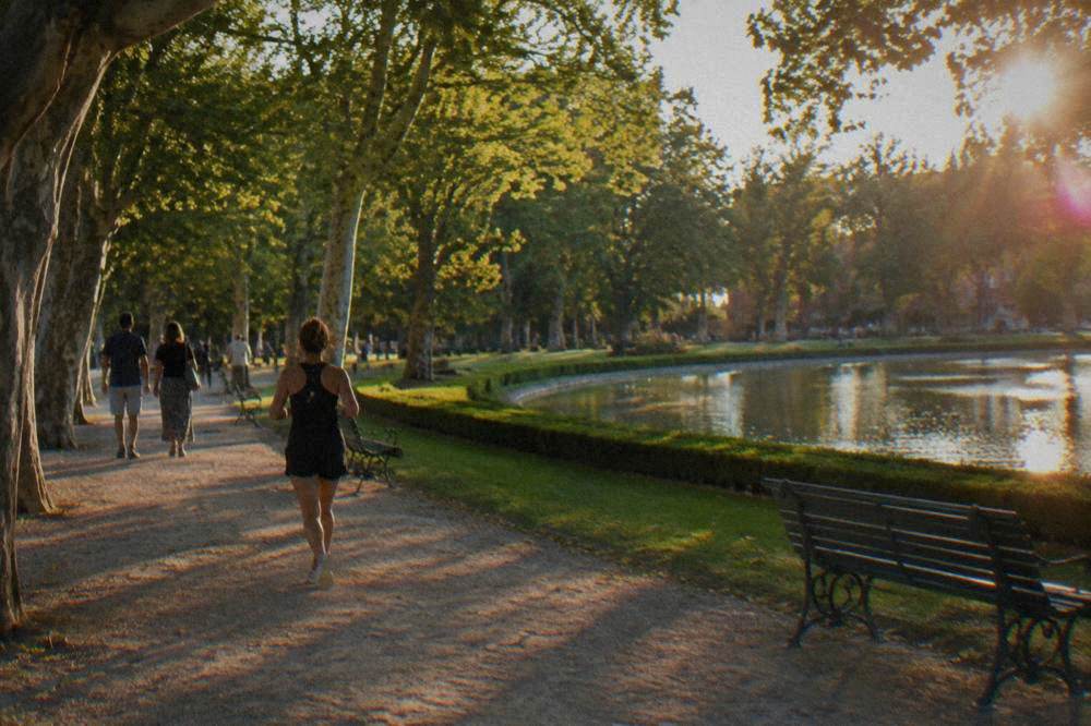 People strolling under plane trees in the Grand Rond park in Toulouse