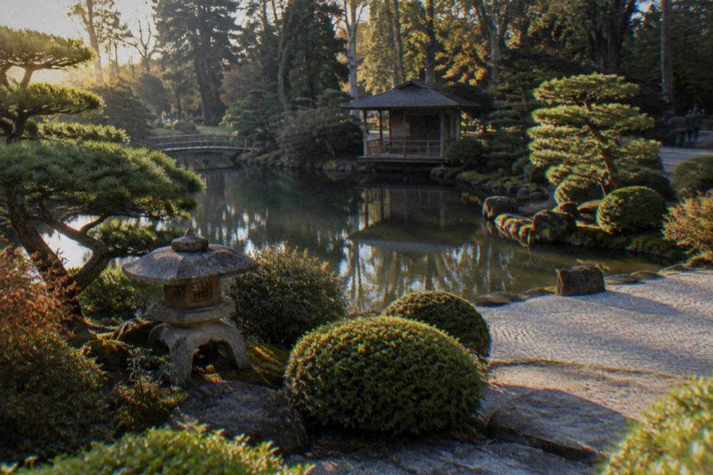 Stone lantern and clipped shrubs beside a pond in the Japanese Garden