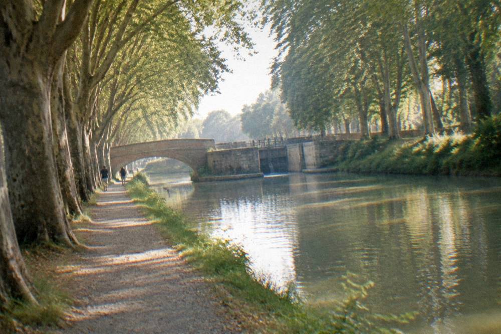 Towpath along the tree-lined Canal du Midi in Toulouse