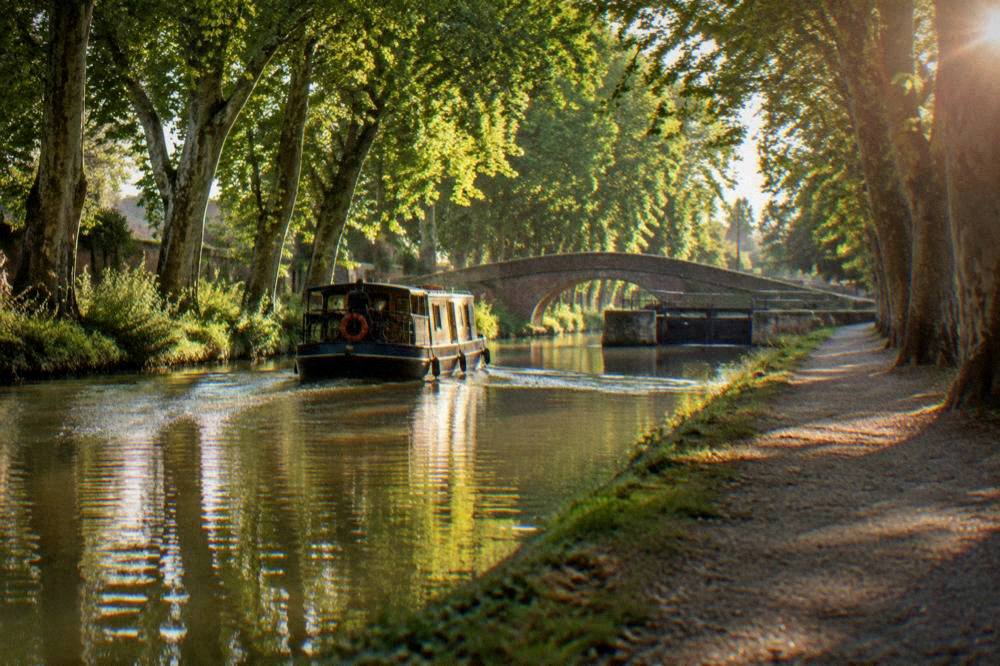 A canal boat passing under plane trees on the Canal du Midi near Toulouse