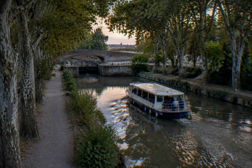 A passenger boat cruising on the Canal du Midi past plane trees near Toulouse