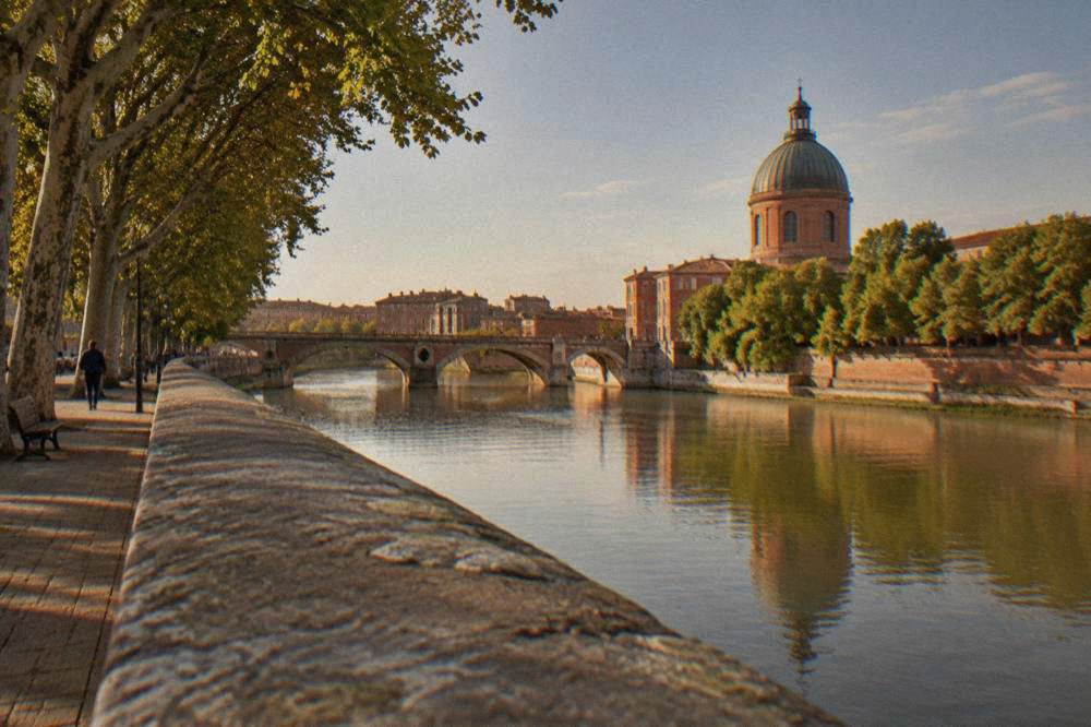 The wide tree-lined Allees Jean-Jaures avenue in Toulouse leading toward the city center