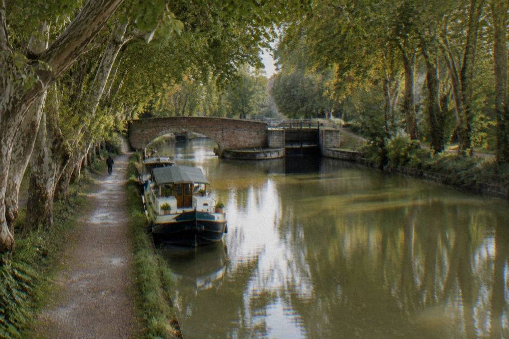 Canal du Midi in Toulouse with plane trees overhanging the still water and a moored boat