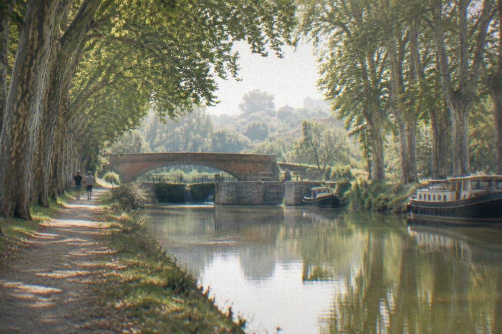 Canal du Midi waterway with plane trees reflected in still water near Toulouse
