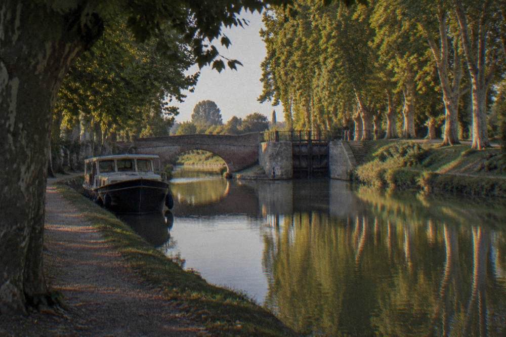 A tree-lined canal basin with a moored boat and plane trees reflected in still water