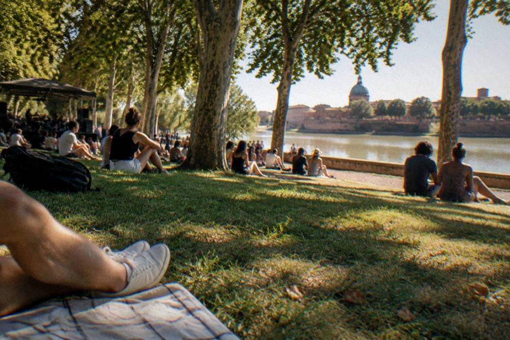 An outdoor festival crowd on a riverside lawn under plane trees in summer