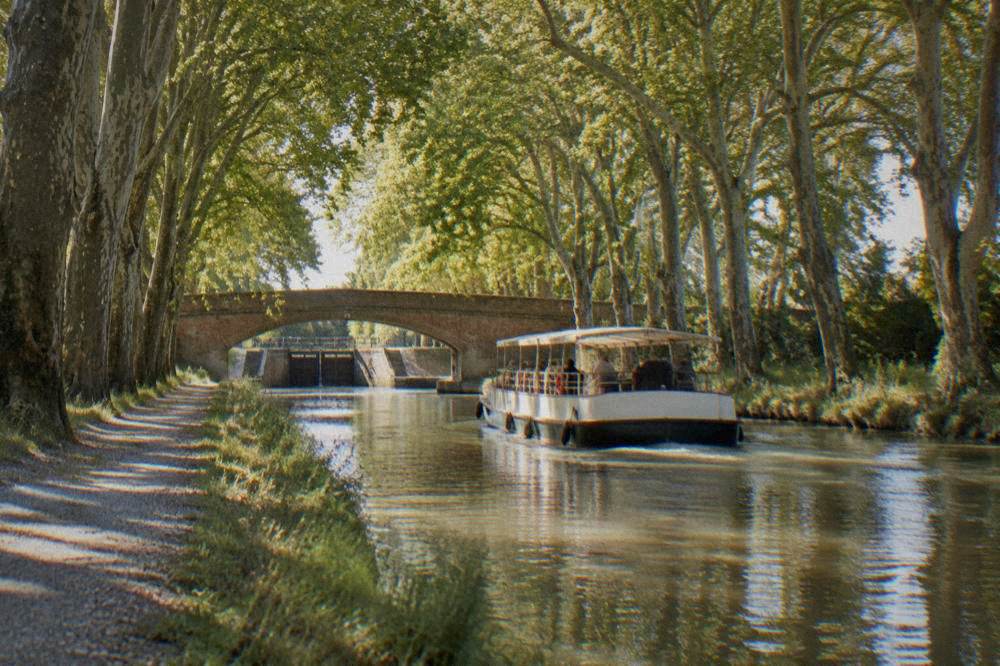 A flat canal boat passing under a plane tree canopy on the Canal du Midi