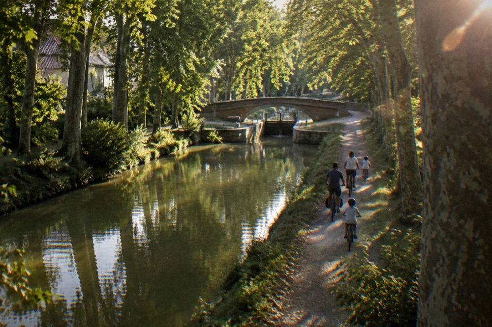 A family riding bicycles along a tree-lined canal towpath